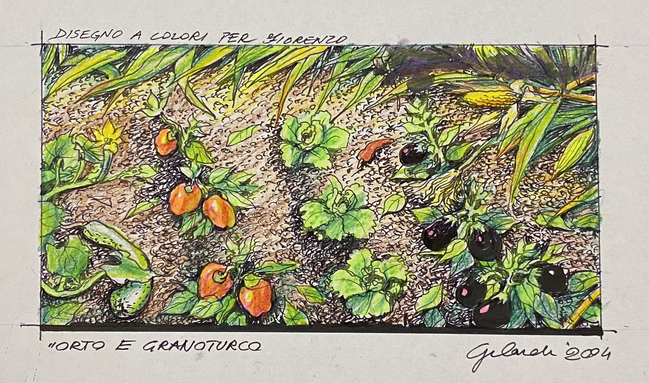 Orto e granoturco – Disegno a colori